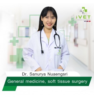 Bác sỹ Sanurya Nuaengsri